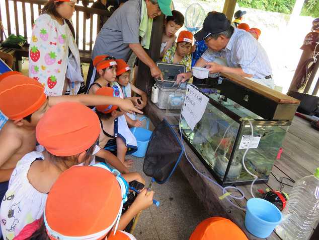 ���ӌ����̋����ώ@����Q����