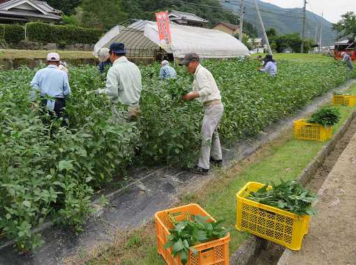 �����w�C�������n����Z����