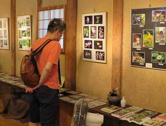 �R�쑐�ʐ^�W